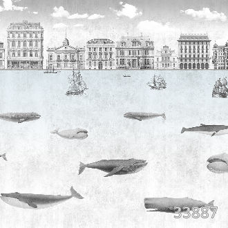 Whales 1