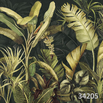 Jungle dark